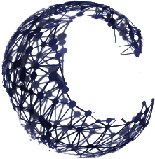 CoNexus