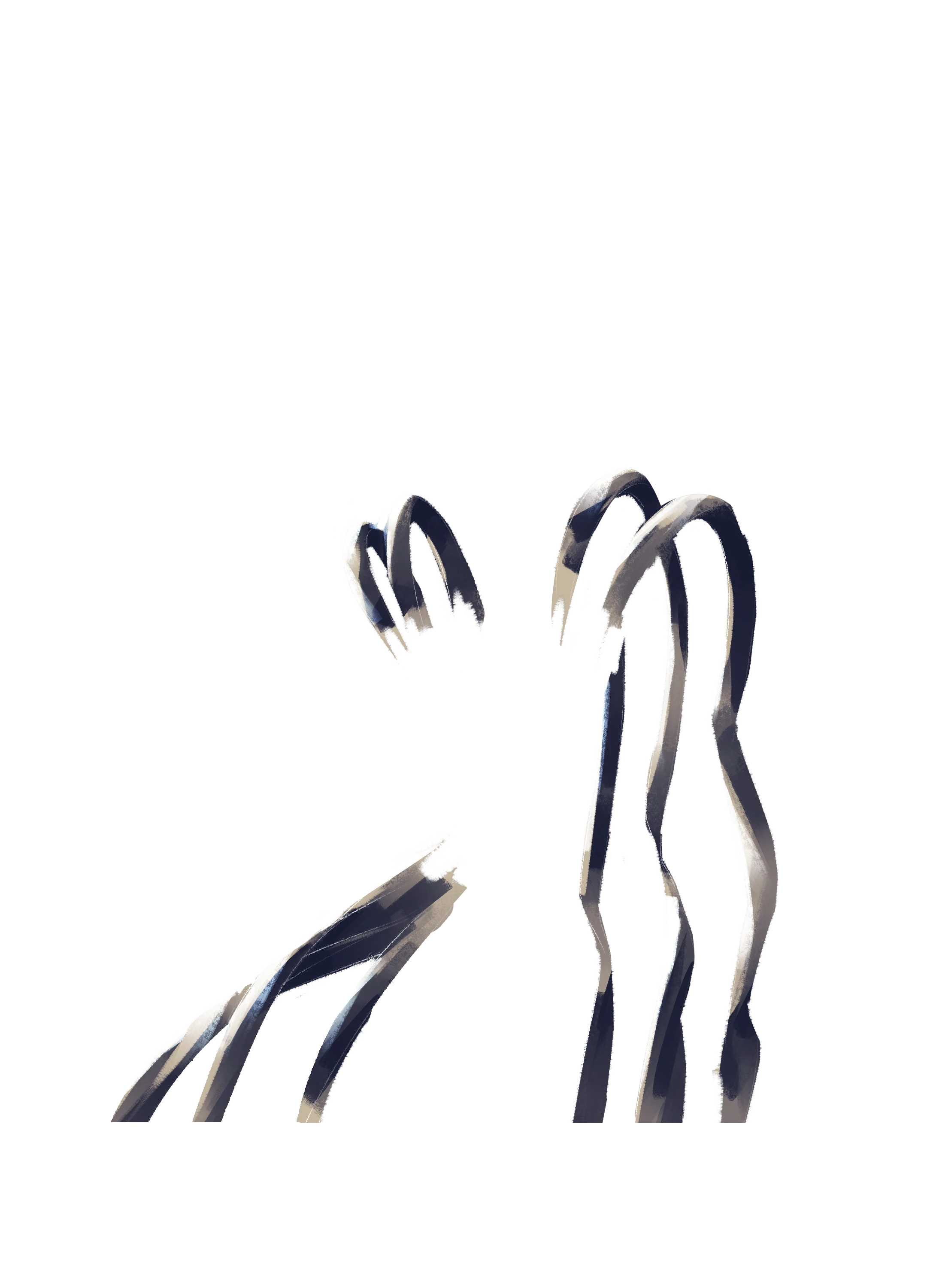 Back Accessory